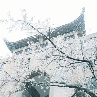 杭州市小学一年级入学管理系统官网入口